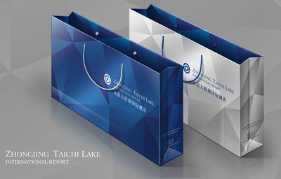 深圳企業(yè)形象設計公司 專業(yè)VI策劃設計服務助力企業(yè)品牌提升